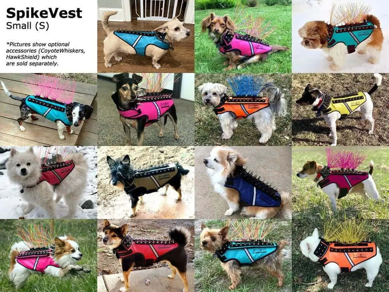Dog  protective Harness