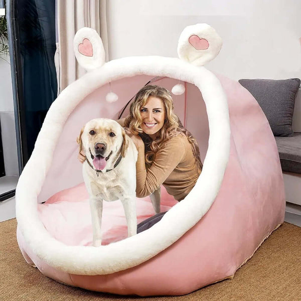 Pet Dog Bed