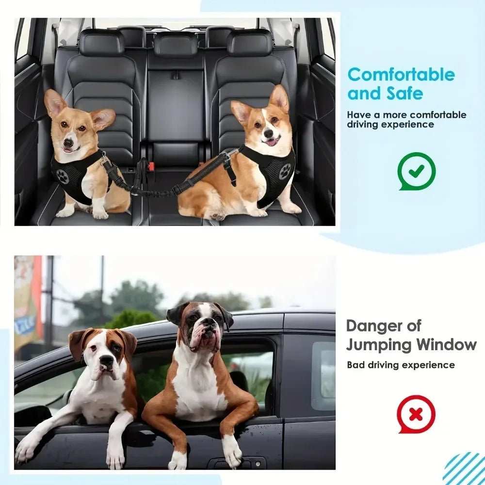 Pet 2 Dog Car Safety Seat Belt