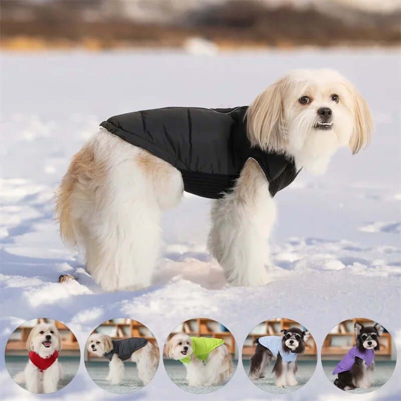 Pet Dog Coats / Winter