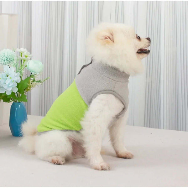 Pet Dog Winter Clothes