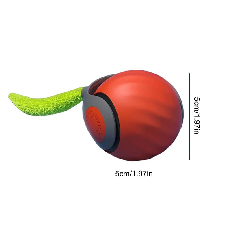 Pet Dog Automatic Ball