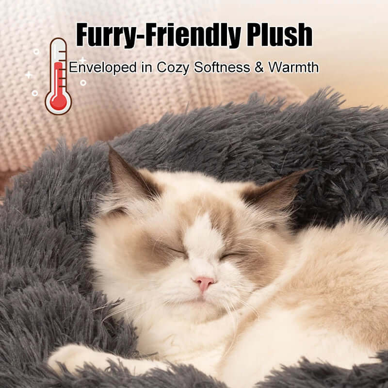 Pet Cat / Dog Beds