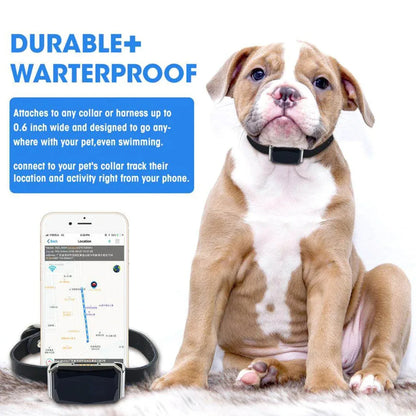 Pet Dog GPS Tracker