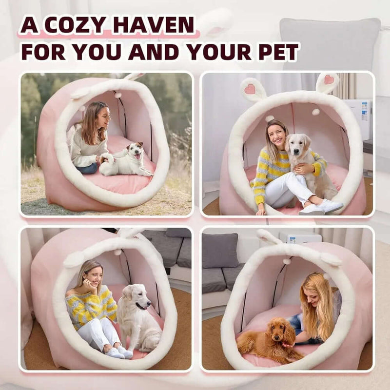 Pet Dog Bed