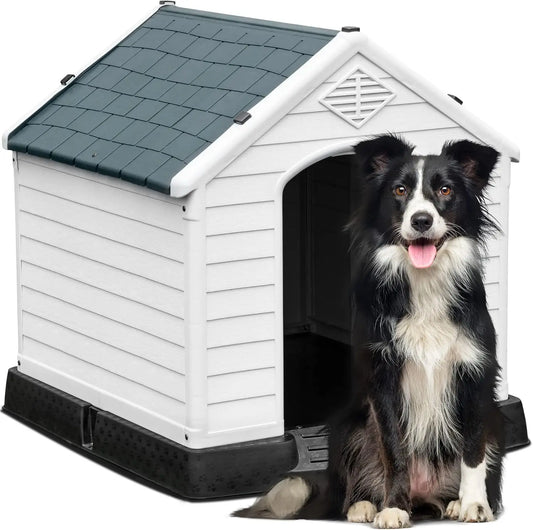 Large Dog House