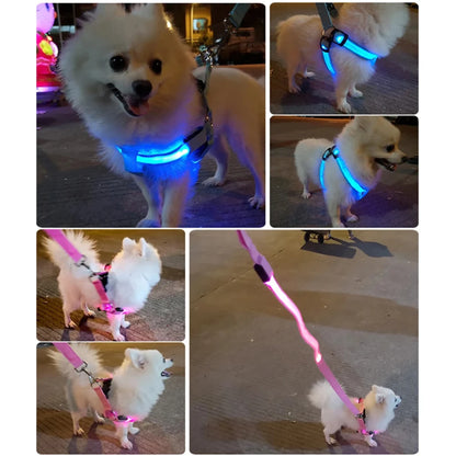 Pet LED Harness