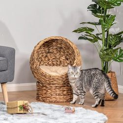 Pet Cat Bed