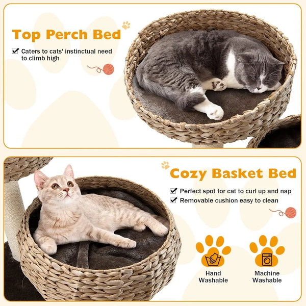 Pet Cat Tree