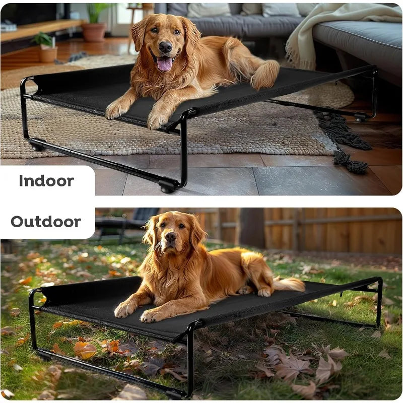 Large Elevated Dog Bed