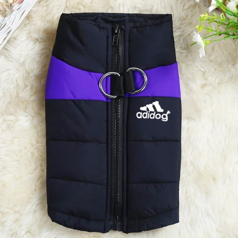 Pet Dog, Jacket, Coat, Vest