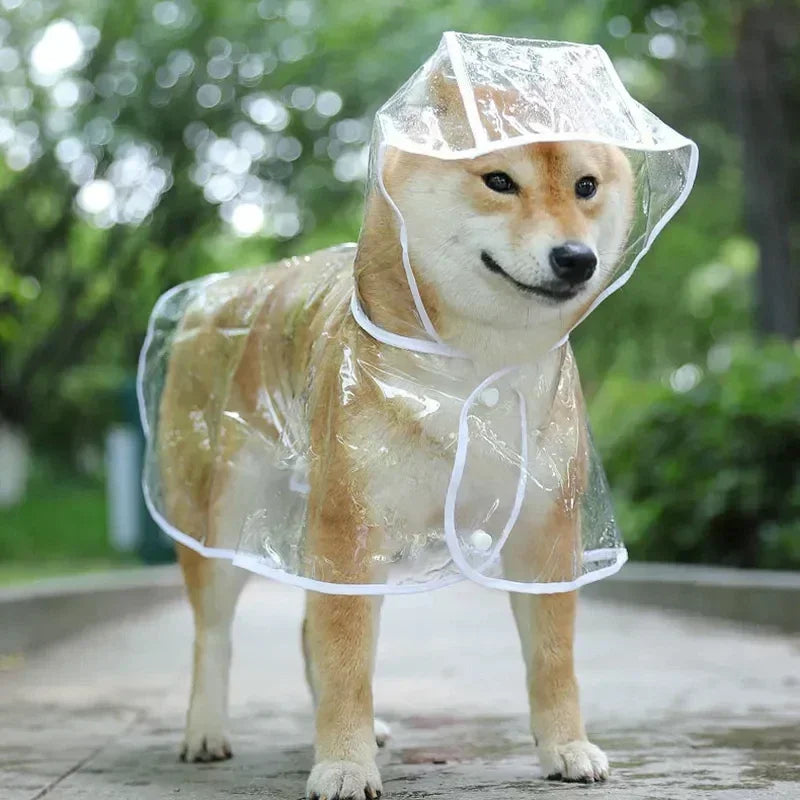 Pet Dog Raincoat