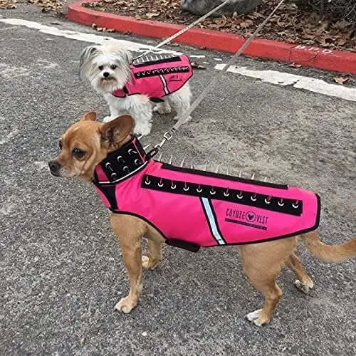Dog  protective Harness