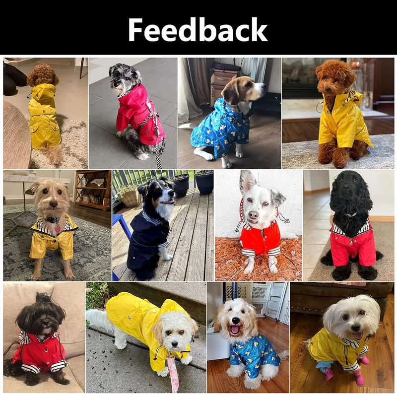 Pet Dog Raincoat
