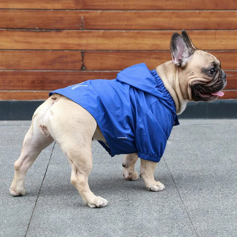Pet Dog Jacket
