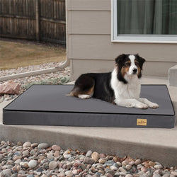 Pet Dog Large Bed