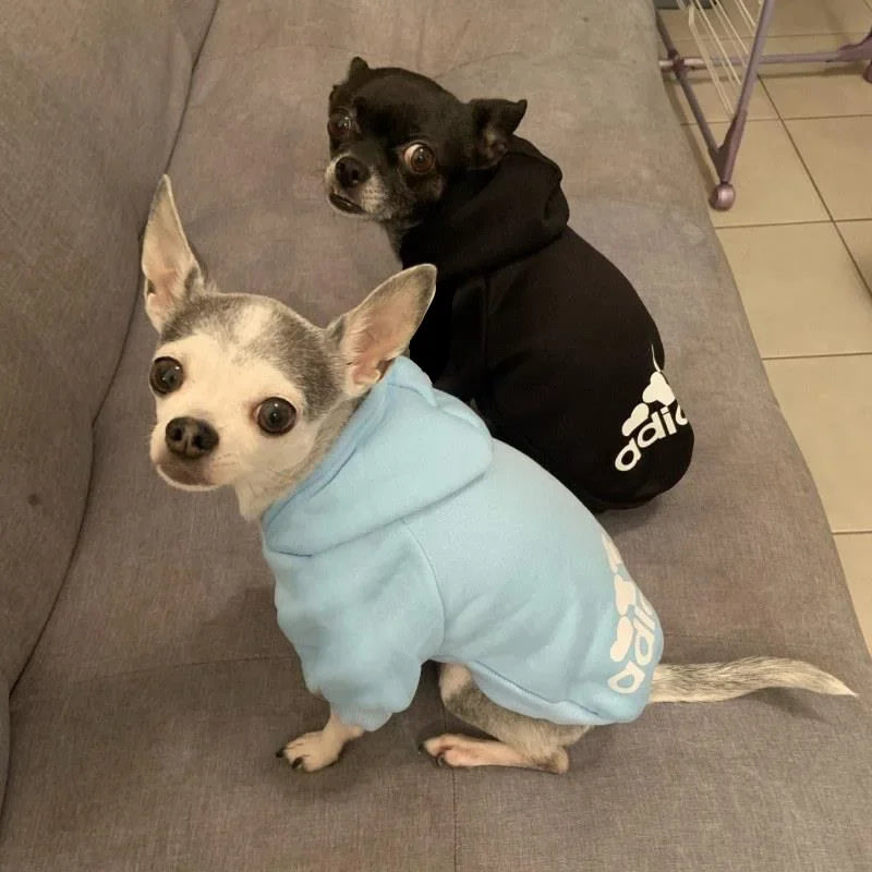 Pet Winter Sweatshirt