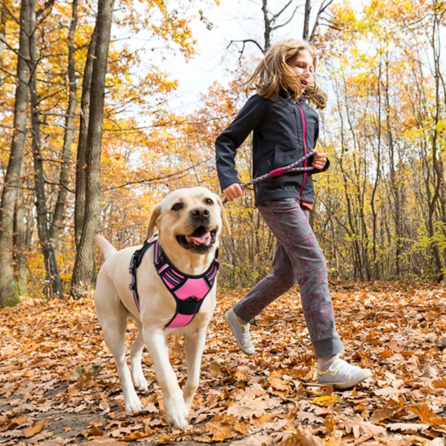 Dog Adjustable Safety Harness