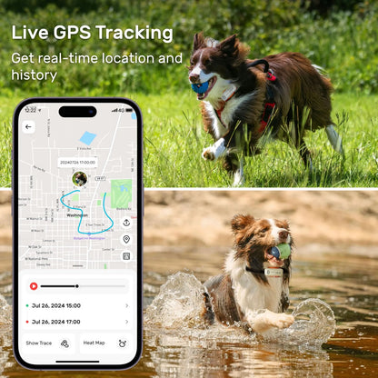 DBDD GPS Tracker for Dogs