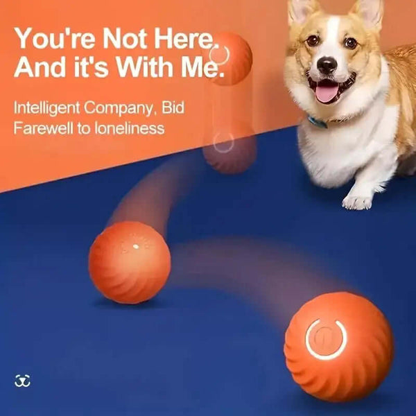 Pet Toy Jumping Ball
