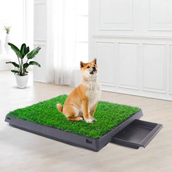 Pet Dog Pee Pad