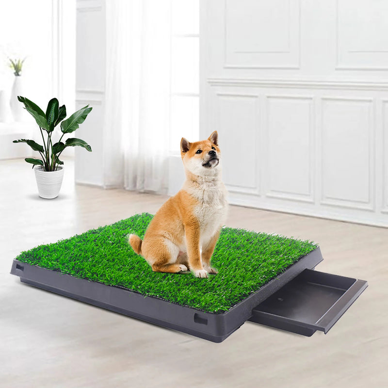Pet Dog Pee Pad