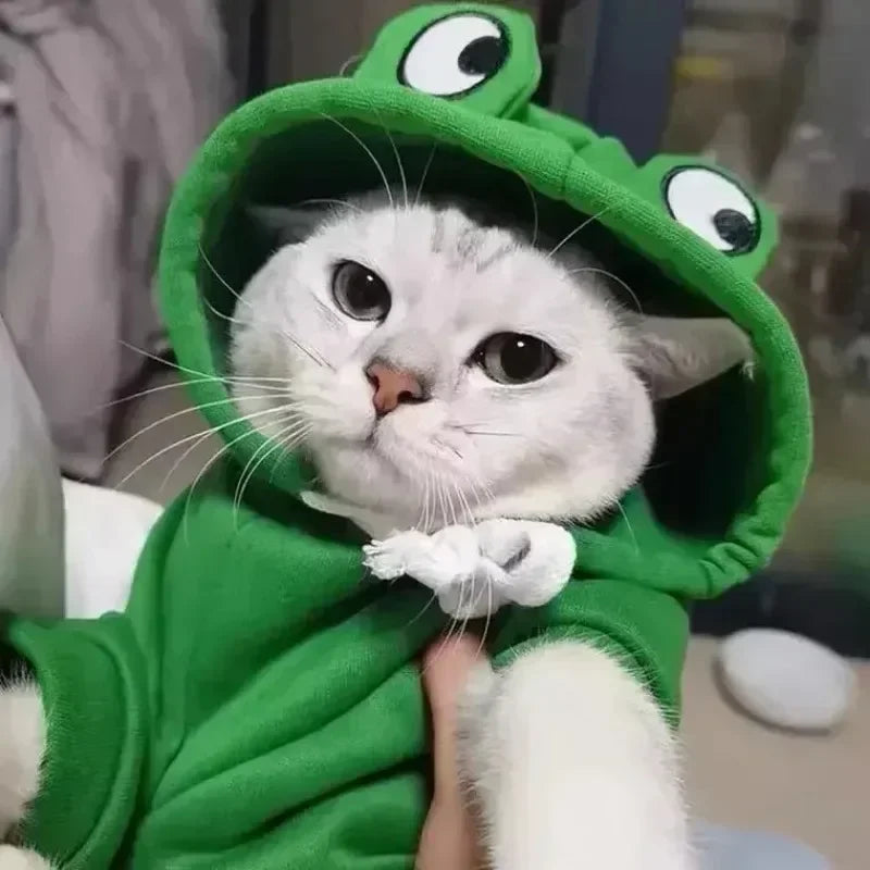 Pet Dog/Cat Hoodie