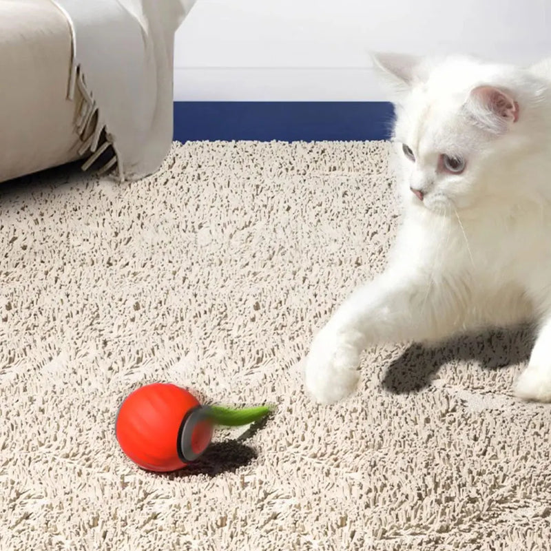Pet Dog Automatic Ball