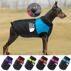 Pet Dog, Jacket, Coat, Vest
