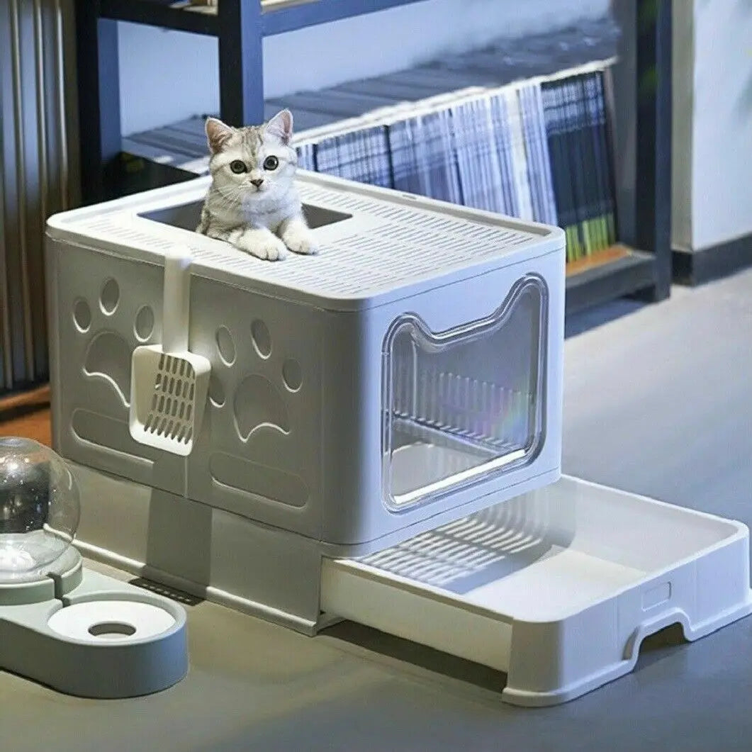 Cat Litter Box