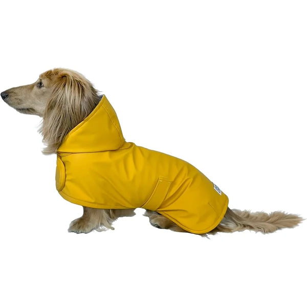 Pet Dachshund Raincoat