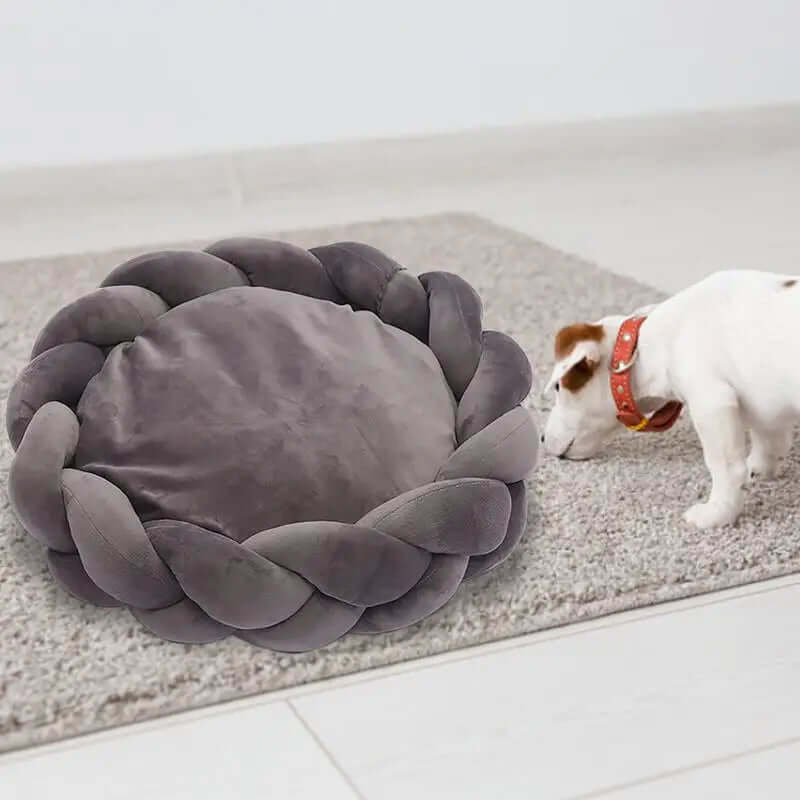 Pet Dog / Cat Bed