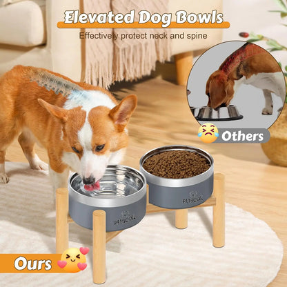Pet Water / Food Bowls