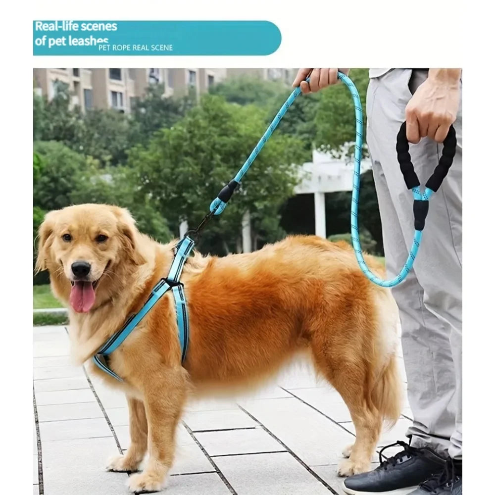 Pet Dog Leash