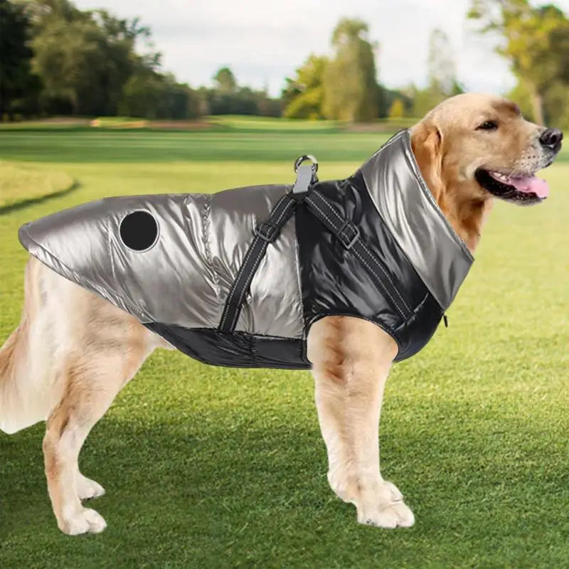 Pet Waterproof Winter Jacket