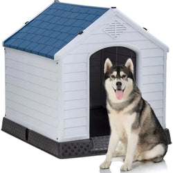 Pet Dog House