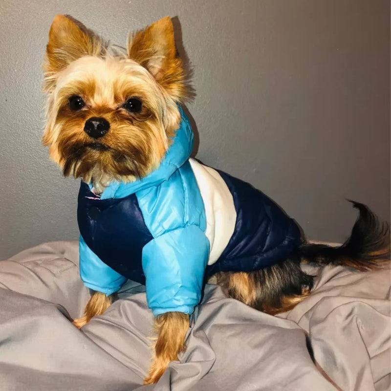 Pet Dog Jacket